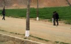 北朝鮮の地方・農村を歩く北朝鮮人