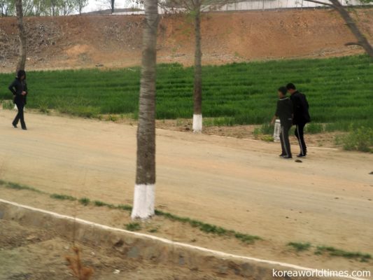 北朝鮮でPCR検査を実施するなら軍人から