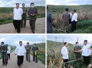 朝鮮中央テレビが24時間テレビ状態で台風情報を夜通し伝える