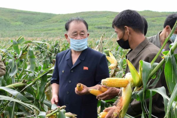 新型コロナも台風も「自力更生」で対処する北朝鮮