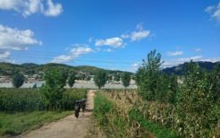 北朝鮮の農村