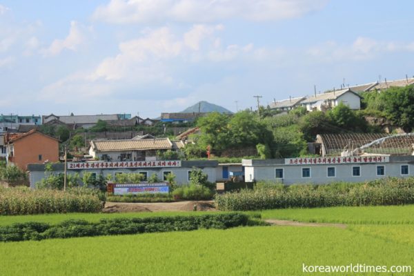 日本向けジャケット袖口のボタン付けを北朝鮮で