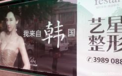 韓国・林智慧（イム・ジヘ）を起用した美容整形広告