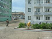 「汚物を宝物に変えよ」世界1過激なリサイクルで生き残り図る北朝鮮