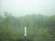 台風12号 北朝鮮への直撃回避も穀倉地帯・江原道へ大雨予報