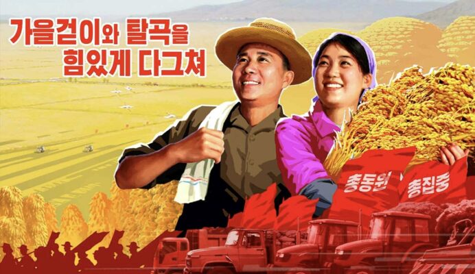 北朝鮮で本格化する秋の収穫