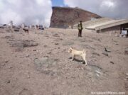 韓国 トンガ沖の海底火山爆発で「なぜか日本の気象庁に激おこ!?」