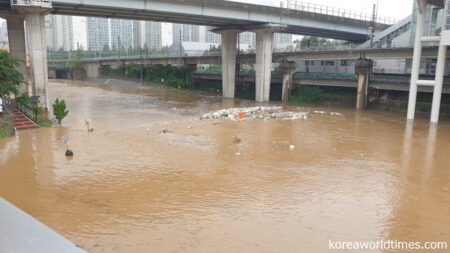 濁流の安養川